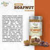 Kalaasha Organics - Organic Soapnut Powder   |100gm|0.22 lbs
