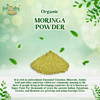 Kalaasha Organics - Organic Moringa Powder   |100gm|0.22 lbs