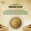 Kalaasha Organics - Organic Quinoa Seeds   |250gm|0.55 lbs
