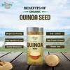 Kalaasha Organics - Organic Quinoa Seeds   |250gm|0.55 lbs