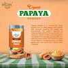 Kalaasha Organics - Papaya Powder   |100gm|0.22 lbs
