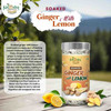 Kalaasha Organics - Soaked Ginger with Lemon   |100gm|0.22 lbs