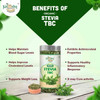 Kalaasha Organics - Organic Stevia TBC   |100gm|0.22 lbs