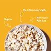LesserEvil Organic Popcorn, Himalayan Gold 4.6 oz by LesserEvil|130gm|0.29 lbs