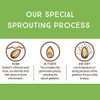 Lark Ellen Farm Cashews, Salted, Sprouted Organic |283gm|0.62 lbs