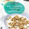 Lark Ellen Farm Vanilla Cinnamon Organic Sprouted Granola |227gm|0.5 lbs