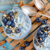 Lark Ellen Farm Lemon Blueberry Organic Sprouted Granola |227gm|0.5 lbs