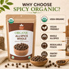 Spicy Organic – Organic Allspice Whole by Spicy Organic|454gm|1.0 lbs