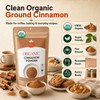 Spicy Organic – Organic Cassia Cinnamon Powder by Spicy Organic|454gm|1.0 lbs