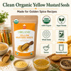 Spicy Organic – Organic Yellow Mustard Seeds by Spicy Organic|227gm|0.5 lbs