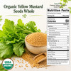 Spicy Organic – Organic Yellow Mustard Seeds by Spicy Organic|227gm|0.5 lbs