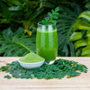 Kuli Kuli - Organic Pure Moringa Powder | 210gm | 0.46 lbs