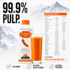 BIOSASH - Sea Buckthorn Juice | 250ml | 8.45 fl oz