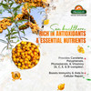 BIOSASH - Sea Buckthorn Giloysash Juice | 250ml | 8.45 fl oz