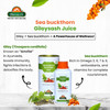 BIOSASH - Sea Buckthorn Giloysash Juice | 250ml | 8.45 fl oz