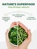 Pura Vida - Organic Moringa Leaf Powder | 227gm | 0.5 lbs