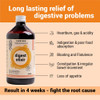 Cureveda - Digest Elixir Herbal Syrup, Ayurvedic Tonic for Detox | 450ml | 15.22  fl oz