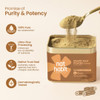 Nat Habit - 100% Pure Mulethi Root Powder | 100gm | 0.22 lbs