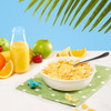 Nature's Path - EnviroKidz Amazon Frosted Flakes | 397gm | 0.88 lbs