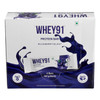 Whey91 - Blueberry Blast –Protein Bar | Protein Snack for Active Lifestyles pack of 6 | 390gm | 0.86 lbs