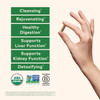 ORGANIC INDIA - Liver and Kidney Cleanse Detox Repair, Vegan, 90 Capsules | 318gm | 0.7 lbs