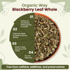 Organic Way - Dried Blackberry Leaf Whole - Herbal - Herbal Tea | 454gm | 1.0 lbs