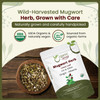 Organic Way - Mugwort Herb Loose Leaf Cut & Sifted - Herbal Tea | 454gm | 1.0 lbs