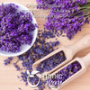 Organic Way - Dried Lavender Flower Buds Whole (Lavandula) - Herbal Tea | 912gm | 2.01 lbs