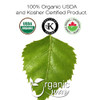 Organic Way - Dried Birch Leaf Whole - Herbal Tea | 454gm | 1.0 lbs
