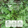 Organic Way - Dandelion Root Whole - Herbal Tea | 227gm | 0.5 lbs