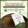 Organic Way - Holy Tulsi / Holy Basil Herb Cut & Sifted | 227gm | 0.5 lbs