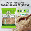 Pusht Organic - Organic Sorghum Millet / Jowar | 1000gm | 2.2 lbs