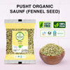 Pusht Organic - Organic Saunf / Fennel Seeds | 200gm | 0.44 lbs