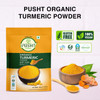 Pusht Organic - Organic Turmeric Powder / Haldi | 200gm | 0.44 lbs