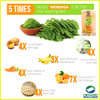 Organic Wellness - Moringa Leaf Powder | 100gm | 0.22 lbs