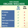 Organic Wellness - Amla Powder | 100gm | 0.22 lbs