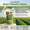 Regrows - 100% Certified Organic Henna Powder | 227gm | 0.5 lbs