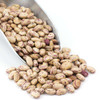 Country Life Natural Foods - Organic Cranberry Beans - Borlotti Beans - Mild Nutty Flavor Creamy Texture - Vegan | 454gm | 1.0 lbs