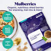 Navitas Organics - Mulberries – For Healthy Snacks, Topping, Baking & More – Sun Dried White Turkish Mulberries | 227gm | 0.5 lbs