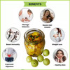 Healthify - Sugar Free Amla Pickle | 500gm | 1.1 lbs