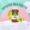Healthify - Sugar Free Amla Pickle | 500gm | 1.1 lbs
