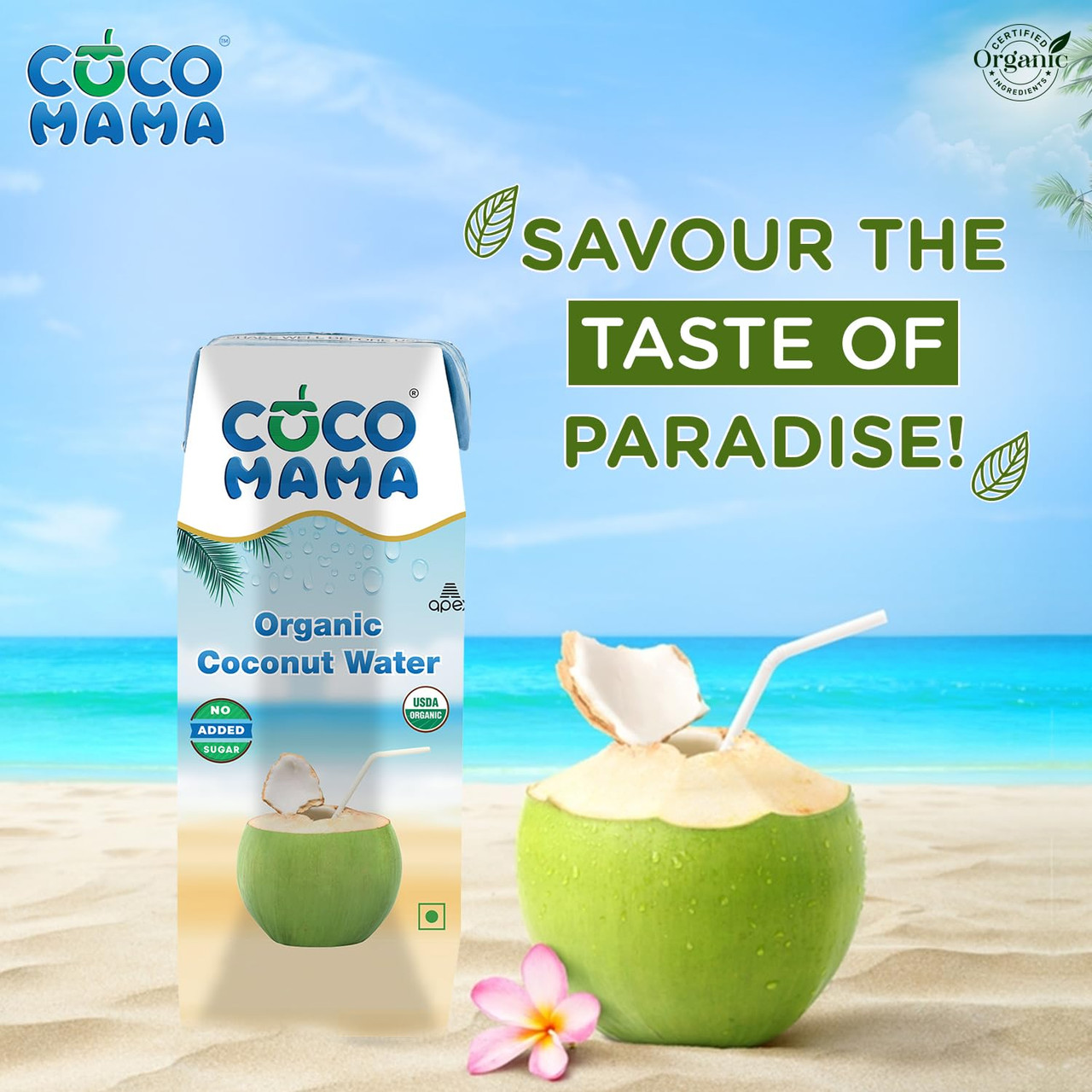 Coco Mama Organic Coconut Water – 250ml x 6 | Hydrating