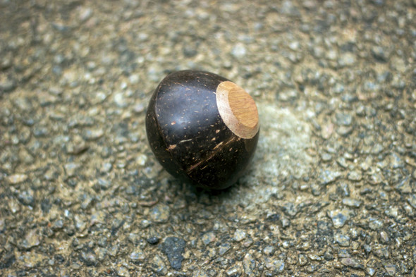 Mini Handmade Coconut Shaker - Round Shape | By  Sarveda  |  8.82oz  |  0.55lbs