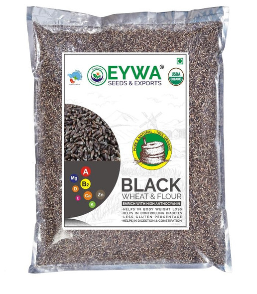 Organic Black Wheat