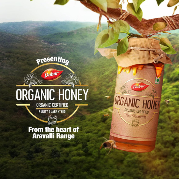 Dabur Raw Organic Honey - 500g | 100% Pure and Natural | NPOP Organic Certified | Raw, Unprocessed & Unpasteurized Honey | Good for Heart Health | Sourced from the Nectar of Wild Flowers