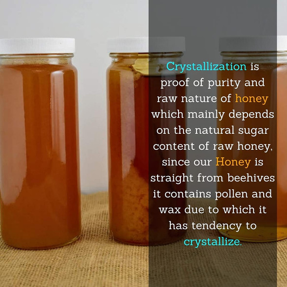 Healthy roots Acacia Honey 500gm- Organic Honey Raw Unprocessed (Pure Honey 100% Natural No Added Sugar) (500 gm)