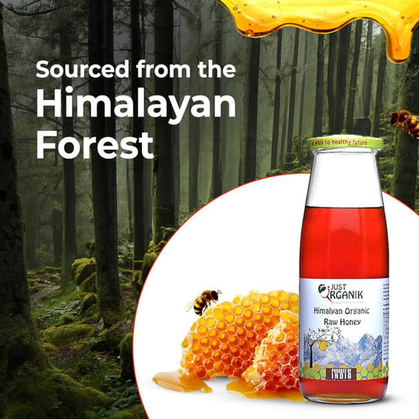 JUST ORGANIK- Himalayan Raw Forest Honey – 500ml | 100% Organic | Himalayan Organic Raw Honey | 100% Pure Raw & Unprocessed Honey | Glass Jar for Long Shelf Life | Single stage filtered | Ayurvedic | No Sugar Adulteration