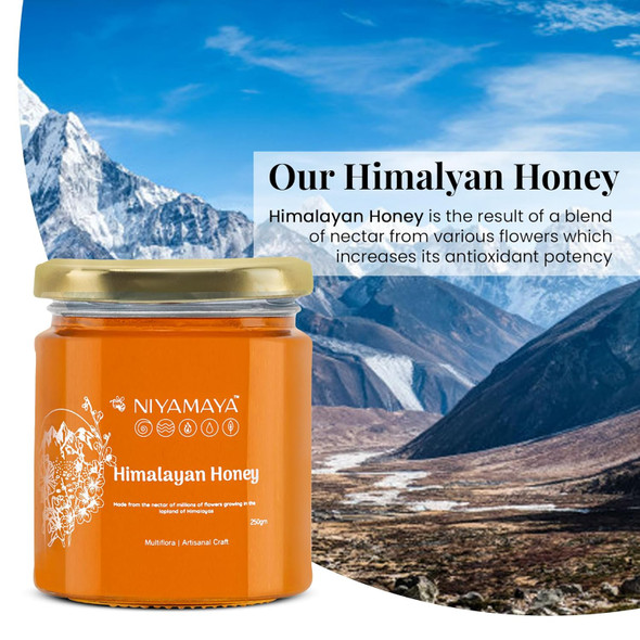 NIYAMAYA Pure Himalayan Honey 250 gm | 100% Pure Natural Raw Honey Unpasteurized & Unprocessed No Added Sugar Multi Flora Himalayan Honey Organic Honey in Fresh
