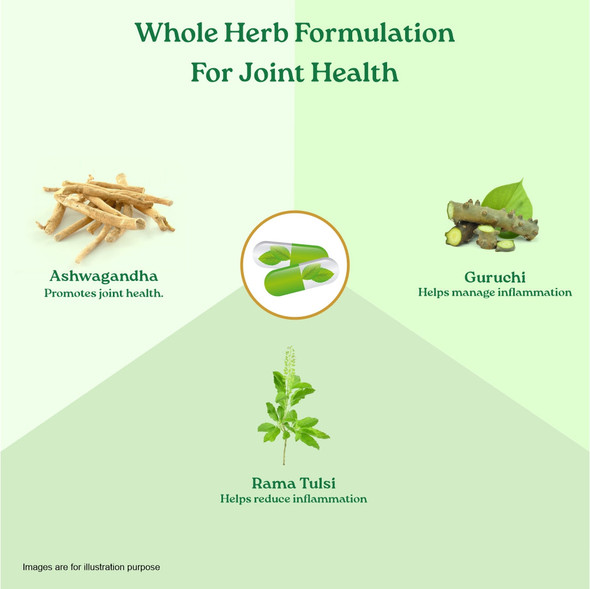 Organic India Flexibility 60 Cap|60 caps Organic India Flexibility 60 Cap|60 caps
