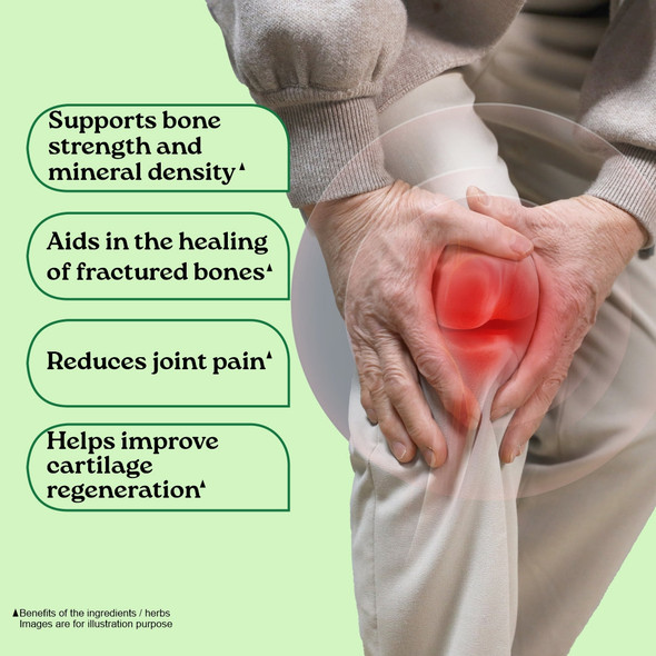 Organic India Osteoseal to Increase your Bone Strength|60 caps